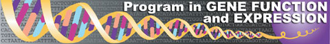 GRAPHIC: PGFE logo